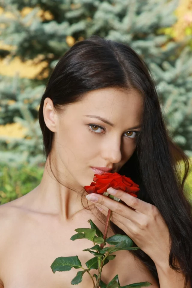 роза, брюнетка, взгляд, волосы, девушка