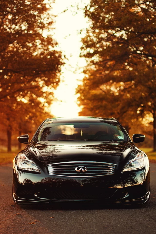 g37, закат, свет, infiniti, солнце, деревья, дорога, инфинити