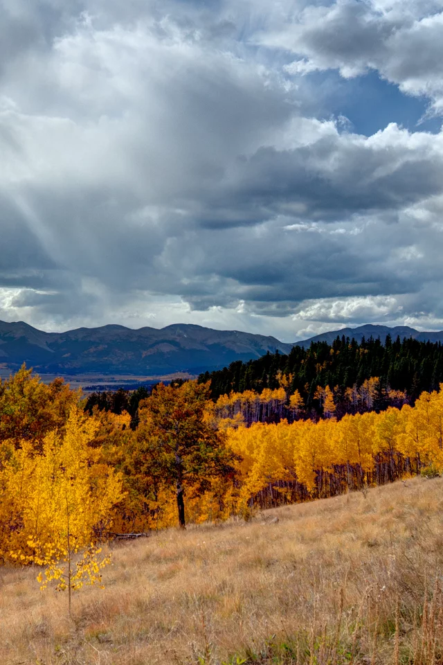 облака, autumn, landscape, grass, трава, mountains, деревья, небо, свет, пейзаж, горы, sky, light, nature, природа, forest, 2560x1600, лес, trees, осень, clouds