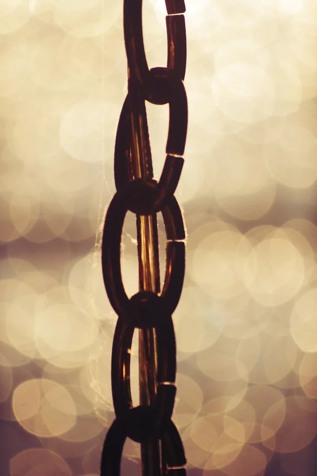 золотистый, bokeh, цепь