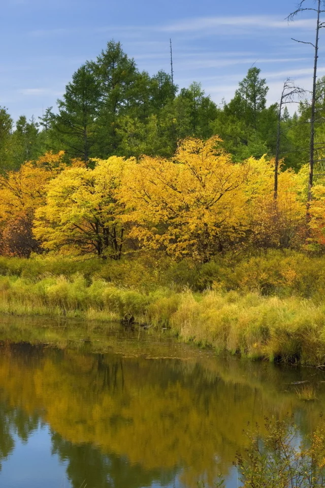 лесю река, вода, облака, небо, осень