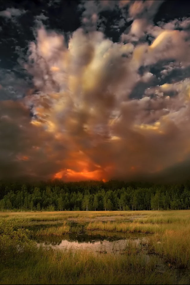вечер, природа, деревья, закат, пейзаж, лето