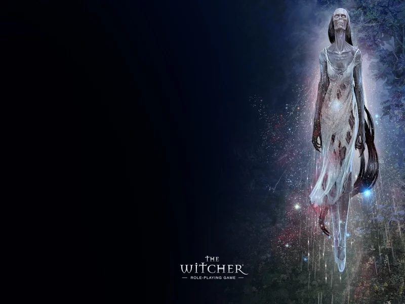 the witcher, полуденница, дух