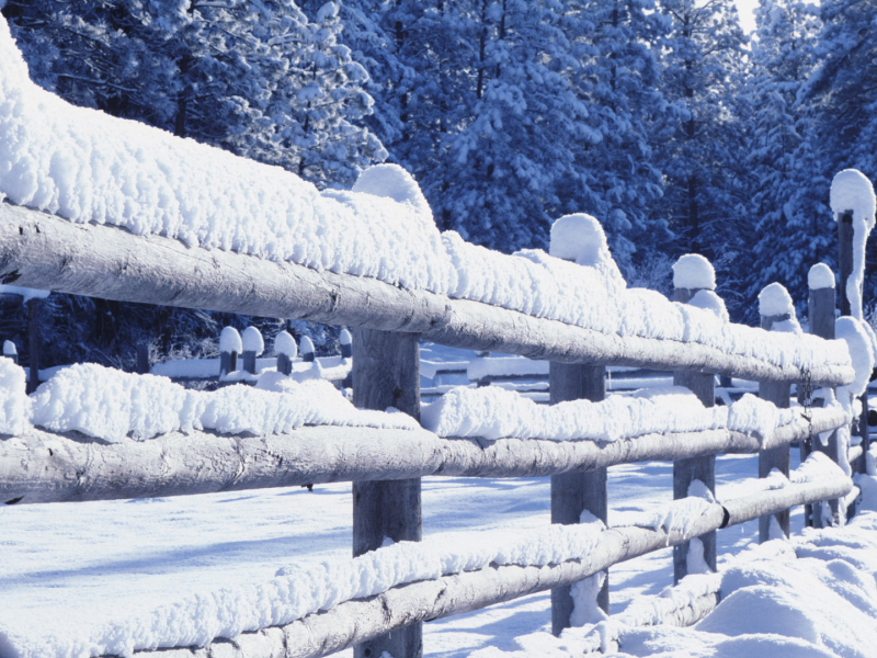 ограда, снег, зима