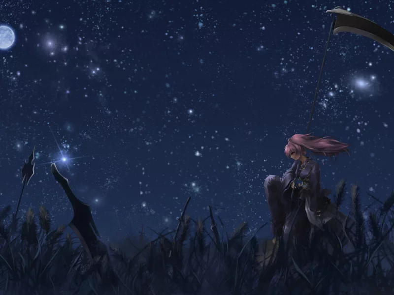 onozuka komachi, коса, moon night
