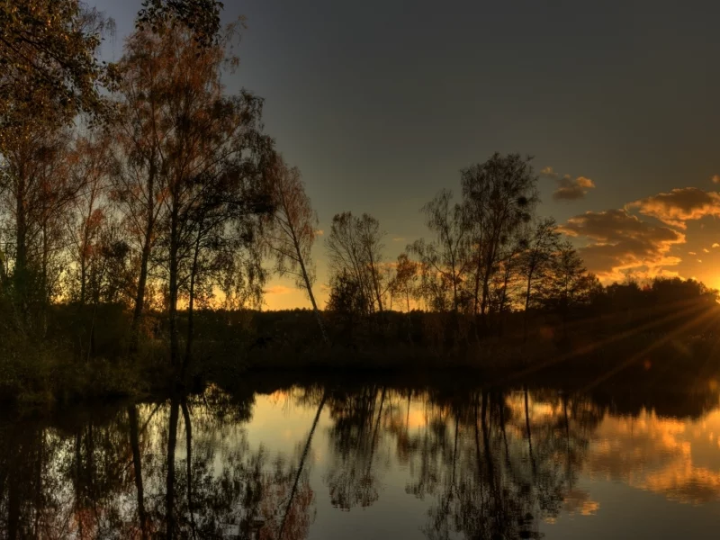 вода, отражение, тишина, озеро, солнце, лес, лучи, вечер, свет, деревья, закат