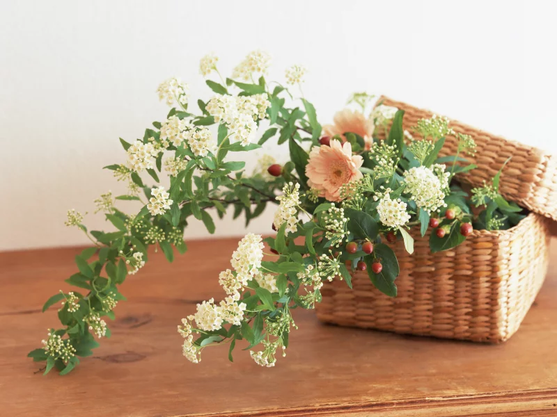 flowers, лепестки, корзина, цветок