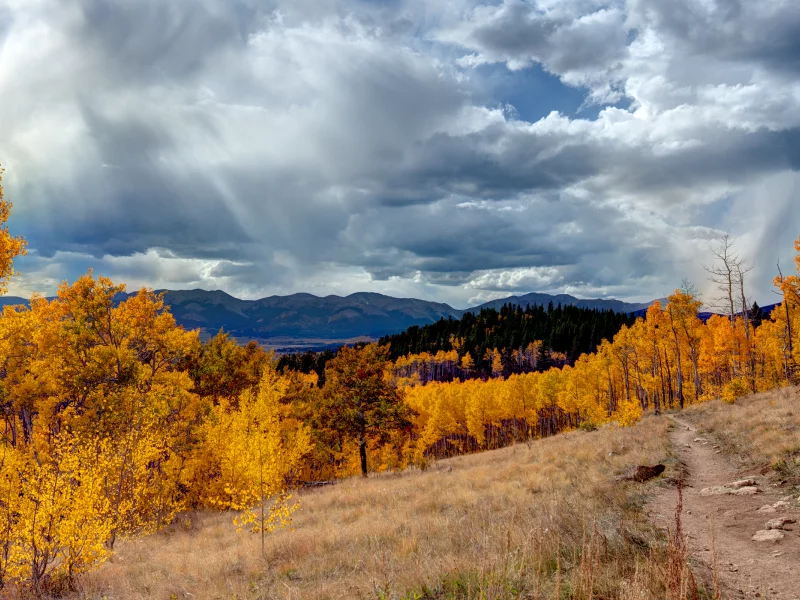 облака, autumn, landscape, grass, трава, mountains, деревья, небо, свет, пейзаж, горы, sky, light, nature, природа, forest, 2560x1600, лес, trees, осень, clouds