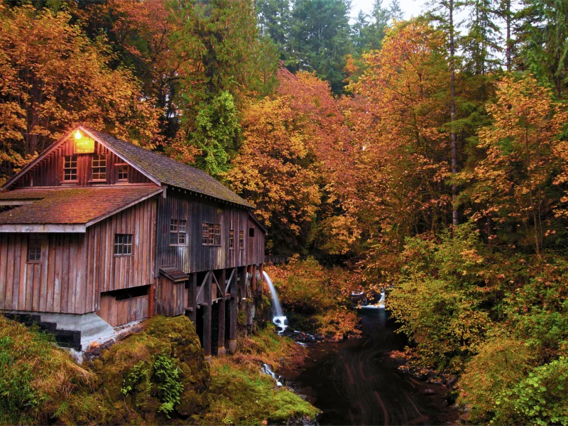 природа, осень, лес, река, дом