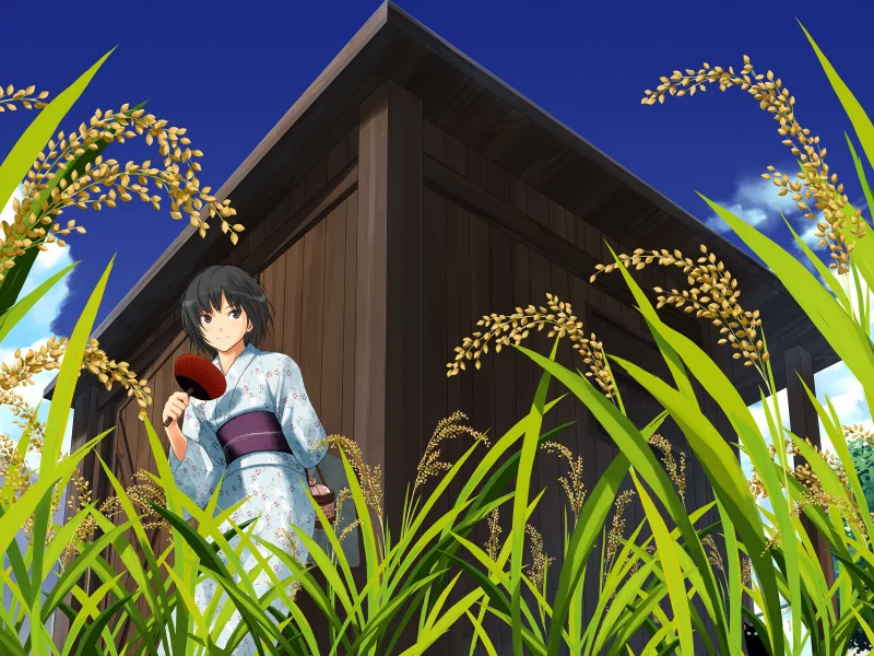 nanasaki ai, amagami, кимоно, веер, природа