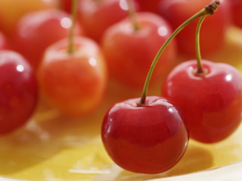 вишни, cherry, вишня, макро