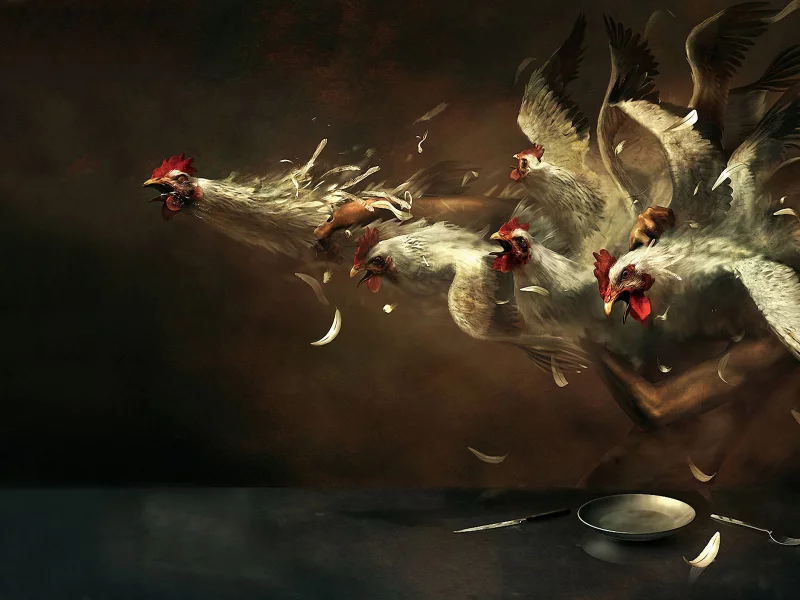 поймать, попытка, курицу