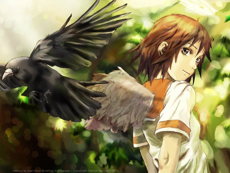 haibane renmei, ворон, крылья