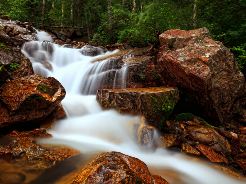 камни, ветки, поток, река, природа, ручей, лес