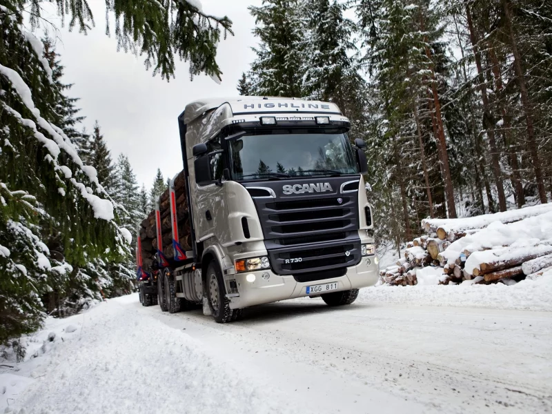 r730, scania, лес, лесовоз, снег, грузовик