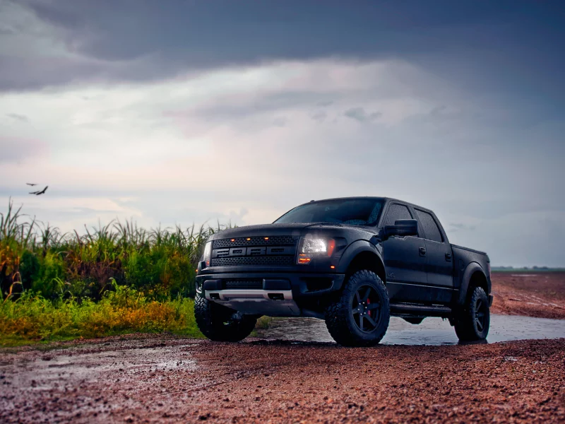 пасмурность, f-150, svt, ford, природа, raptor, supercrew