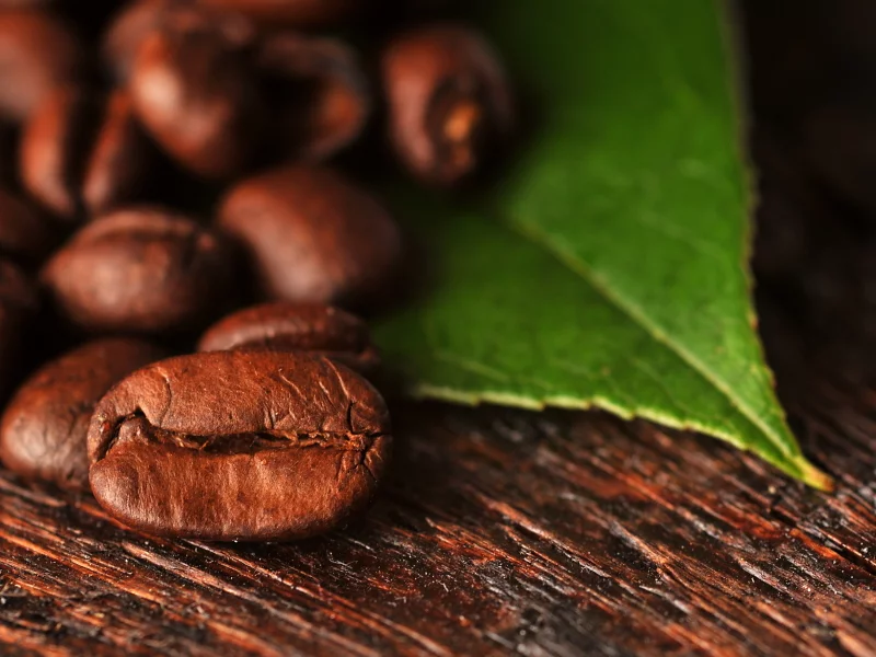 зерна, макро, кофе, лист, macro, coffee, beans, leaf