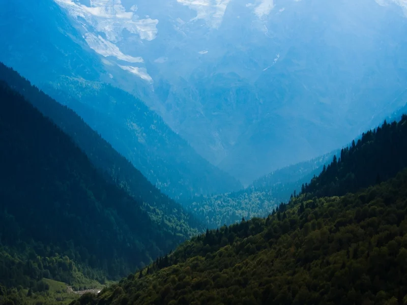 небо, деревья, sky, пейзаж, облака, лес, горы, wood, mountain, tree, sea, природа