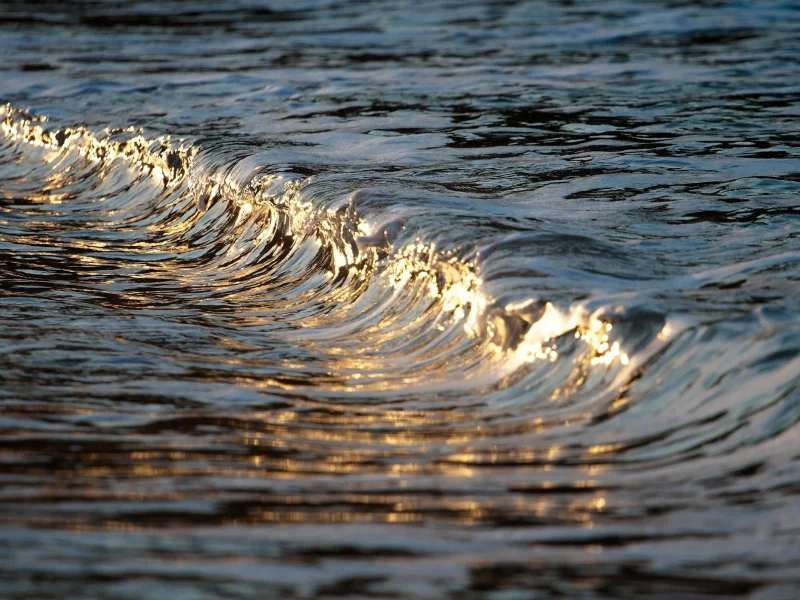 море, волна, вода, солнце, отражение