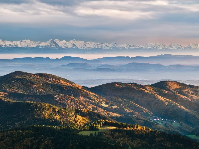 деревья, скалы, лес, горы, пейзаж, природа