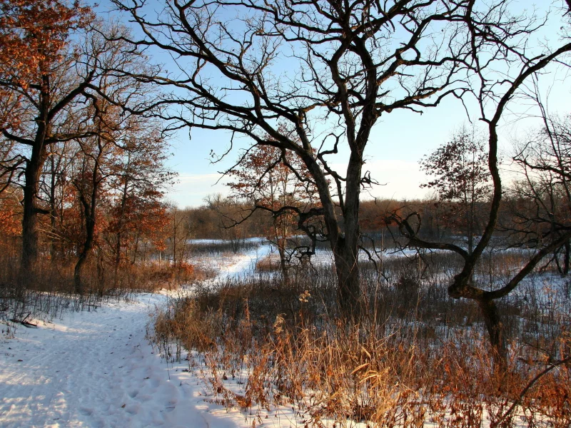 осень, дорога, снег