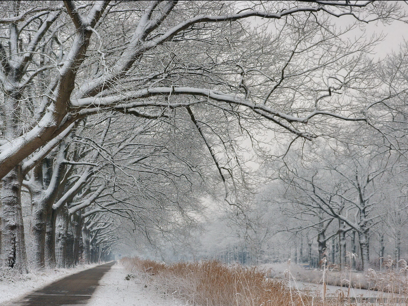 дорога, зима, снег
