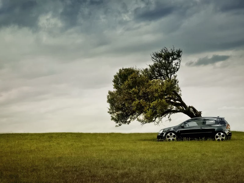 volkswagen, дерево, природа, black, небо, поле, диски