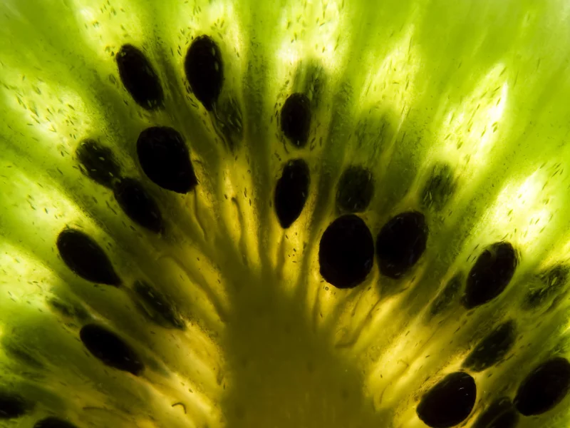 зеленый, фрукты, киви, kiwi