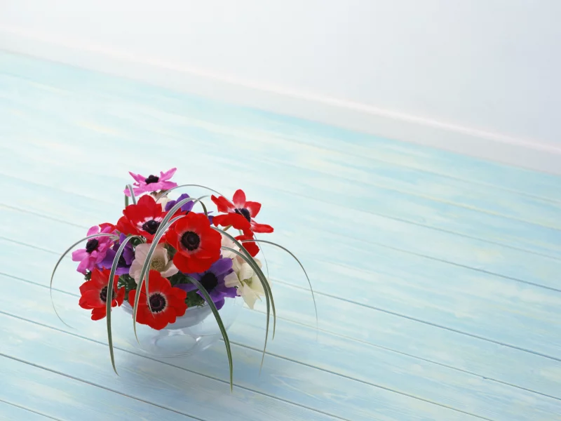 красота, цветы, red, композиция, flowers