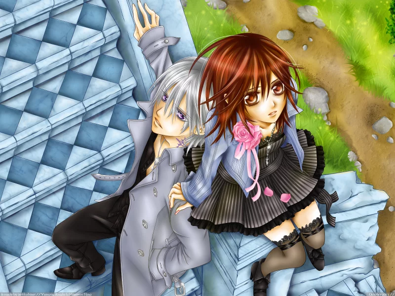 аниме, yuki, zero, vampire knight
