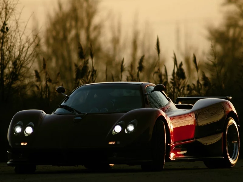 pagani, суперкар, передок, полумрак, zonda, кусты, фары, родстер, зонда, roadster, пагани