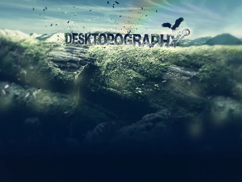 надпись, дерево, птичка, desktopography