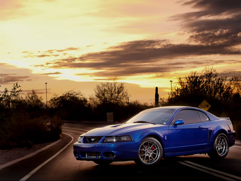 mustang, мустанг, закат, авто обои, форд, auto wallpapers, тачки, ford, авто фото, солнце, cars, svt, cobra, terminator