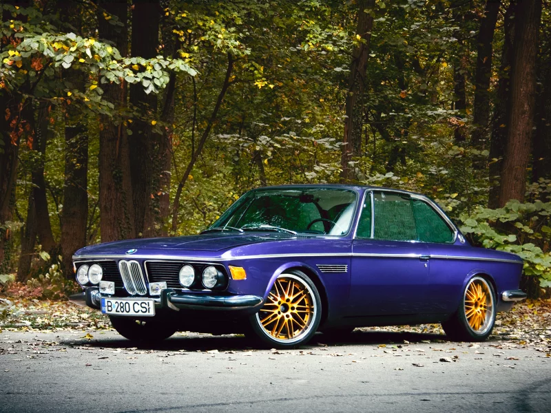 e9, природа, bmw, 1969