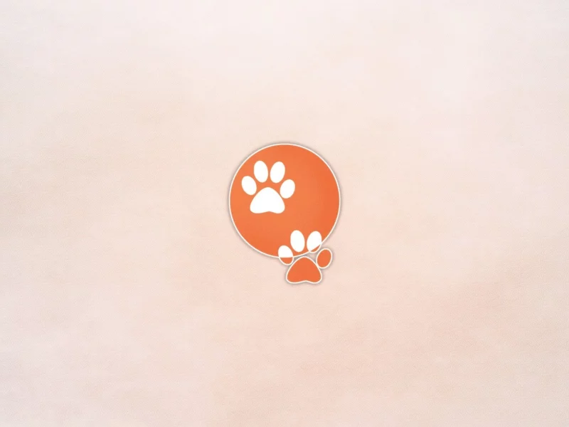 paws, prints, 1920x1200, следы, минимализм, лапки, minimalism