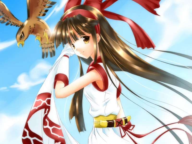 небо, nakoruru, птица, samurai spirits, девушка, ame no uta (artist), самурай