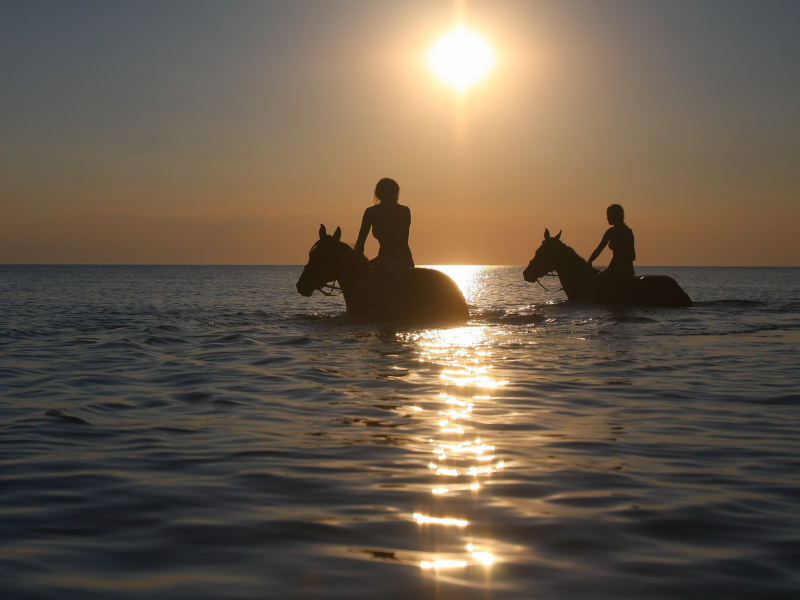 кони, море, девушки