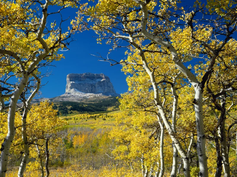 гора, осень, монтана