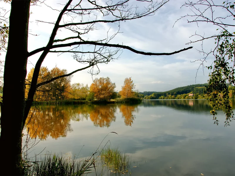 деревья, вода, пейзажи, река, дерево, реки, фото, природа, озеро, озёра