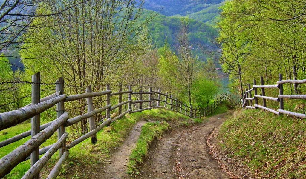 лето, дорога, забор