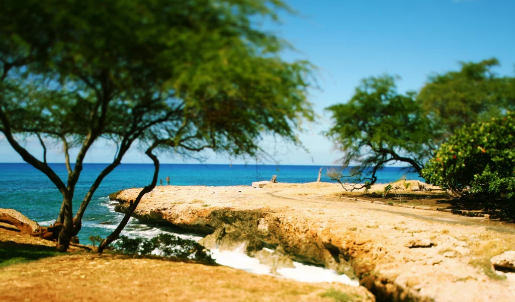 tilt-shift, oahu, кустарники, дорога, волны, hawaii, пляж, камни, море, побережье, деревья