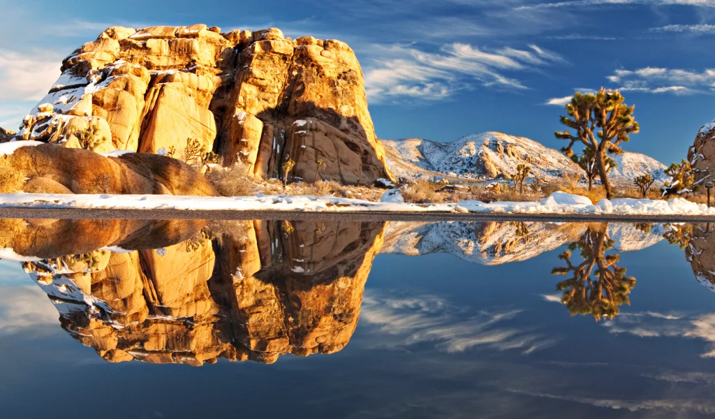 joshua tree national park, камень, природа, америка, пейзаж, озеро, растения, отражение, камни