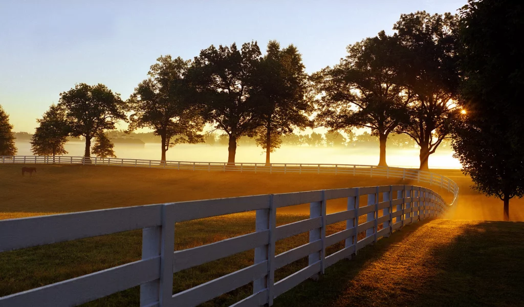 kentucky, туман, парк, забор, утренний, лучи, кентуки, morning mist, lexington, утро, дымка