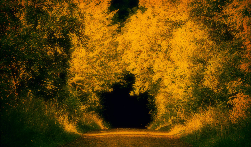 тунель, осень, природа
