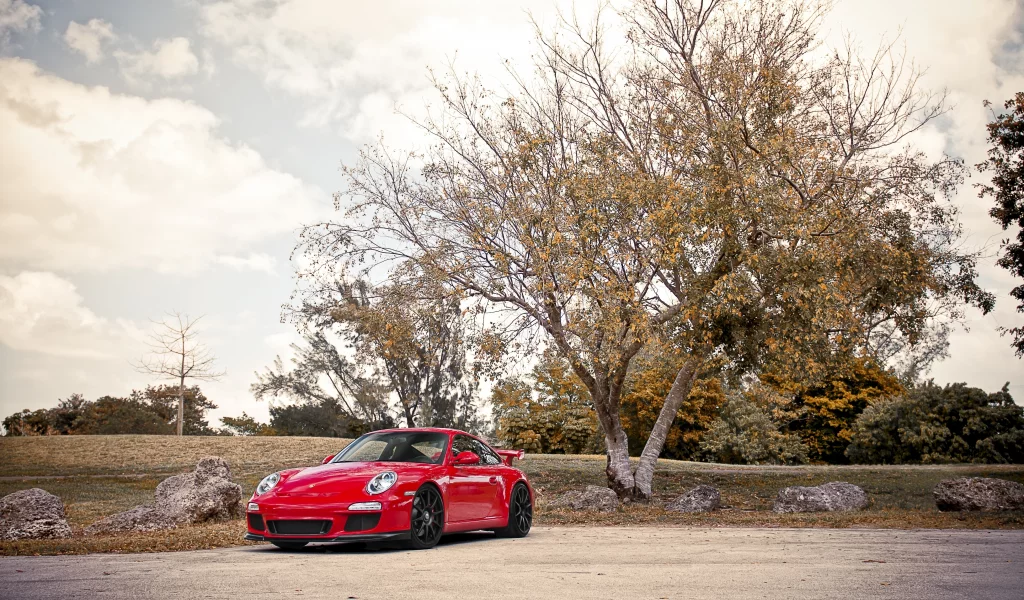 911, дерево, небо, 997, облака, gt3, гт3, красный, валуны, порше, porsche