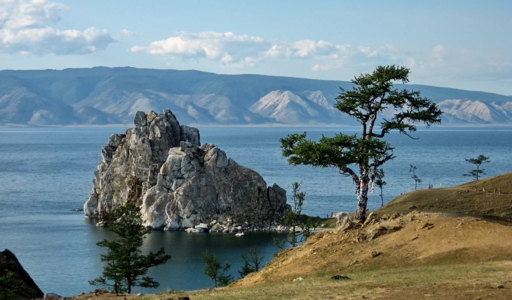 природа, пейзаж, дерево