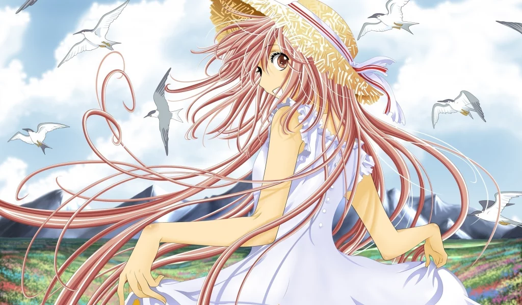clamp, hanato kobato, шляпка, чайки, длинные волосы, девушка