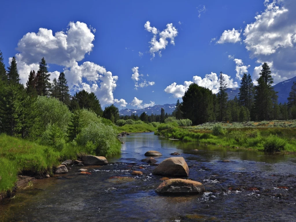 камни, небо, природа, лес, река