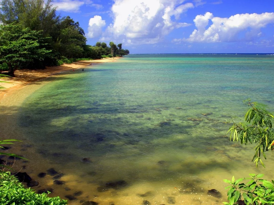 деревья, облака, вода, море