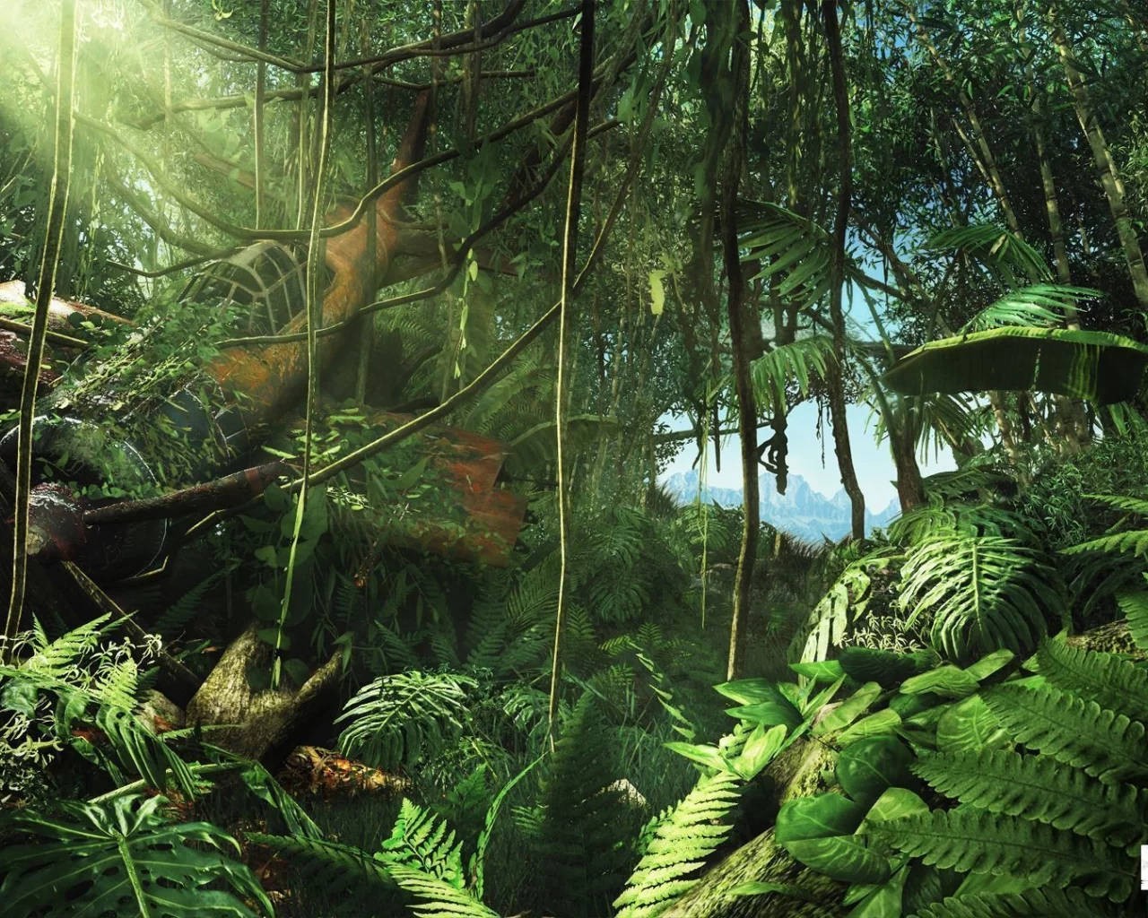 самолет, game, заросли, крушение, игра, джунгли, far cry 3